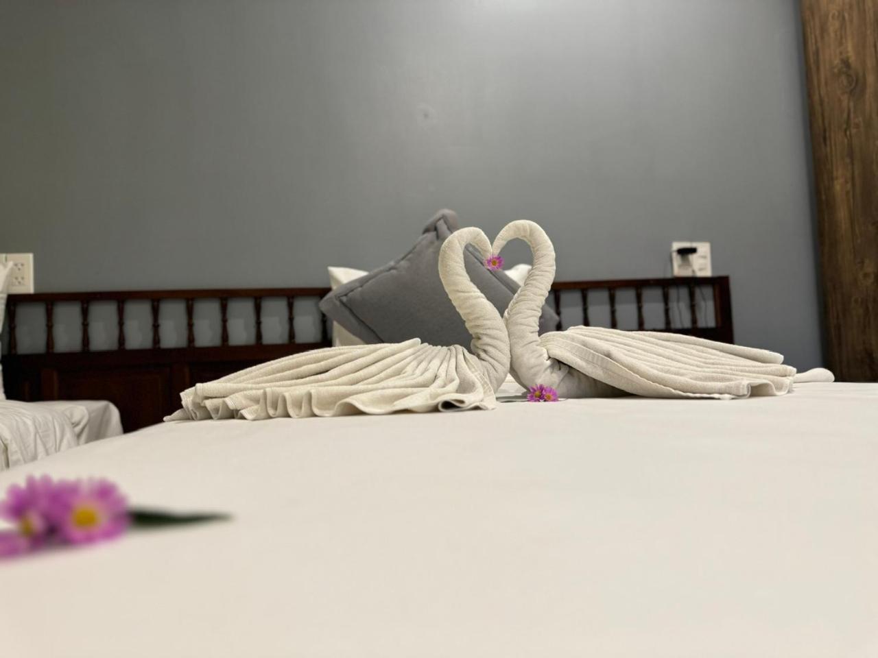 Hoianan Boutique Hotel هوي ان المظهر الخارجي الصورة